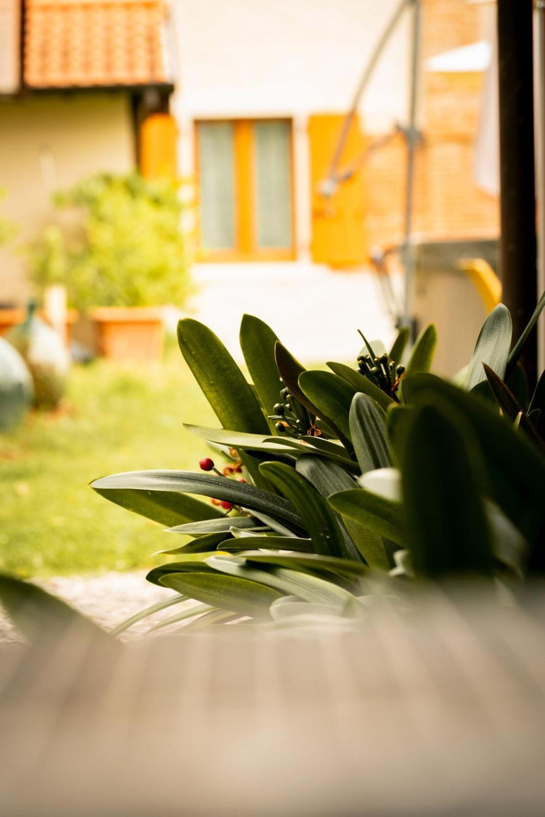 Agriturismo Podere Nigriano Salò Kültér fotó