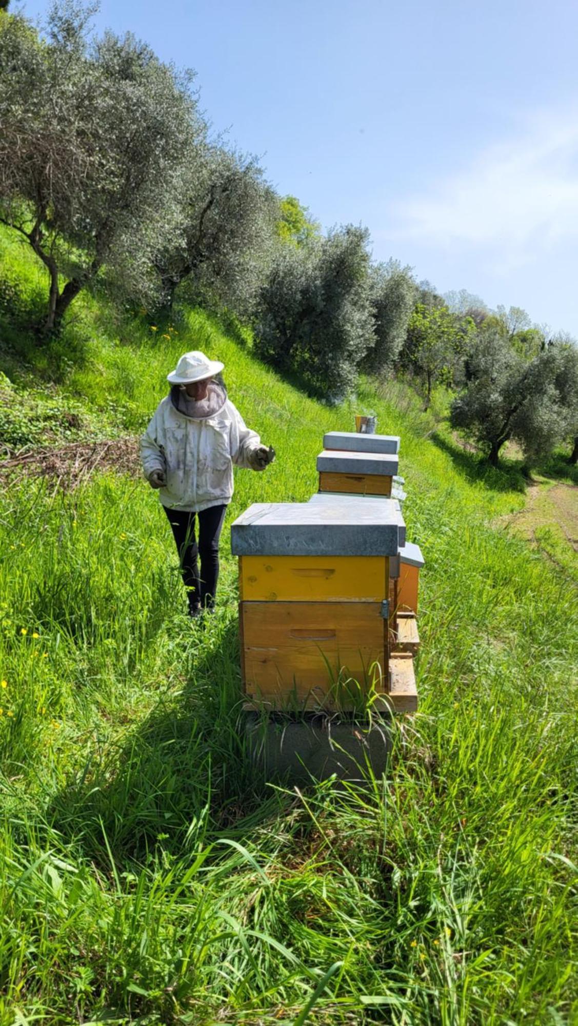 Agriturismo Podere Nigriano Salò Kültér fotó